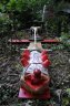 DSC_8490a.jpg - 