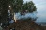 DSC_8920.jpg - 