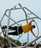 IMG_4043.jpg - 