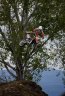 IMG_4651.jpg - 